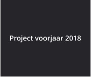 Project voorjaar 2018