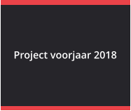 Project voorjaar 2018